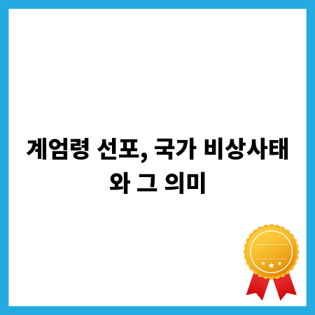 계엄령 선포, 국가 비상사태와 그 의미