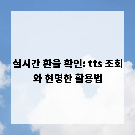 실시간 환율 확인: tts 조회와 현명한 활용법