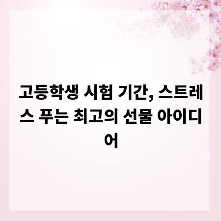 고등학생 시험 기간, 스트레스 푸는 최고의 선물 아이디어