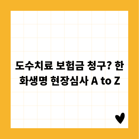 도수치료 보험금 청구? 한화생명 현장심사 A to Z